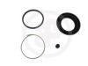 AUTOFREN SEINSA D4156 Repair Kit, brake caliper